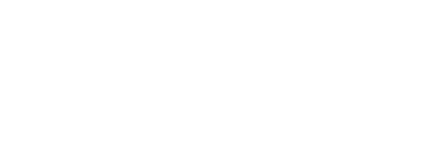 Bizzgenesis